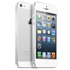 Apple iPhone 5 64Gb white - Ступино